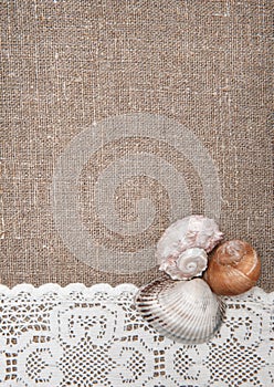 Seashells on lacy cloth and burlap