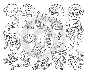 Seashells outline doodle set ocean marine starfish mollusk seaweed conch jellyfish tropical vector