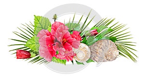 Seashells with palm leaves, hibiscus flower and buds in a holiday arrangement