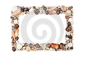 Seashells pattern empty frame on white background isolated close up, blank sea shells border, summer beach holidays concept