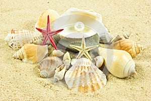 Seashells,pearl, starfish on sand holidays