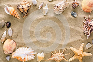 Seashells and pebbles background, natural seashore stones