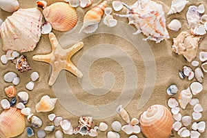 Seashells and pebbles background, natural seashore stones