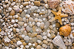 Seashells and pebbles background, natural seashore stones