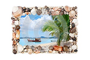 Seashells photo frame white background isolated close up, sea shells picture border, summer sand beach holiday, tropical island