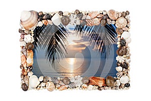 Seashells photo frame white background isolated close up, sea shells picture border, sunset beach, summer holiday, tropical island