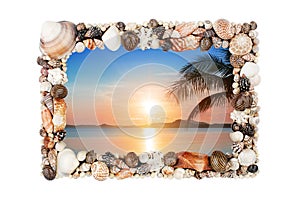 Seashells photo frame white background isolated close up, sea shells picture border, sunset beach, summer holiday, tropical island