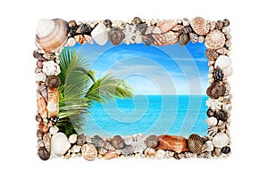 Seashells photo frame white background isolated closeup, sea shells picture border, summer beach holiday, exotic tropical island