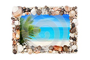 Seashells photo frame white background isolated closeup, sea shells picture border, summer sand beach holiday, tropical island