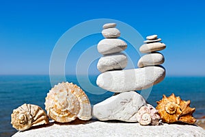 Seashells and rock Zen in the form of scales on the background o