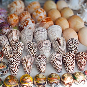 Seashells for sale on a beach in Bali