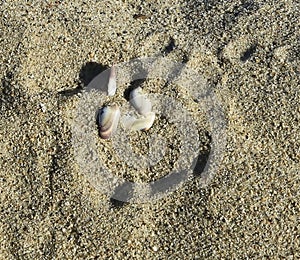 Seashells and sand