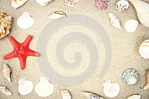 Seashells sand beach summer background