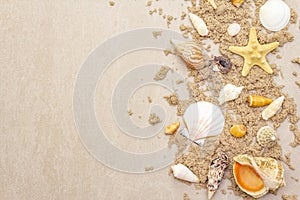 Seashells sandy summer background. Lots of different seashells piled together