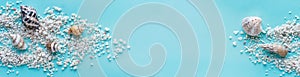 Seashells scattered on turquoise background wiht copy space