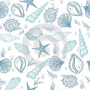 Seashells seamless pattern