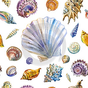Seashells seamless pattern on a white background, watercolor