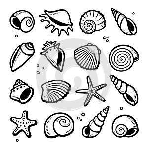 Seashells set. Collection seashells icons. Vector