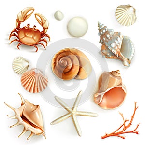 Seashells, set vector icons