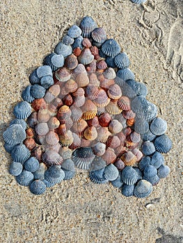 Seashells in the Shape of a Heart in the Sand at the Seashore