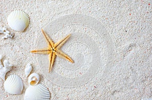 Seashells and starfish