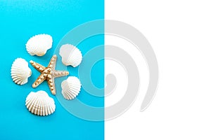 Seashells and starfish on blue background. Top view. Summer flat lay background, travel concept.