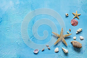 Seashells and starfish border with copy space on a blue concrete or stone background. Sea summer vacation background.