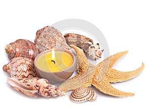 Seashells, starfish and candle