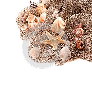 Seashells and starfish on the fishing network