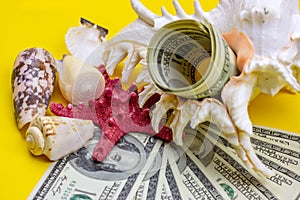 Seashells and starfish with green american dollars usa on yellow background