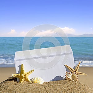 Seashells and starfish with open envelope with blank letter