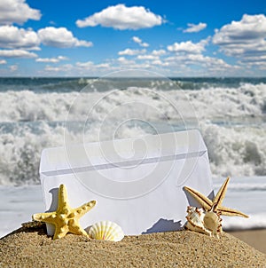 Seashells and starfish with open envelope with blank letter