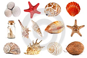 Seashells, starfish, pebbles, and coconut on a white background. Isolated objects.