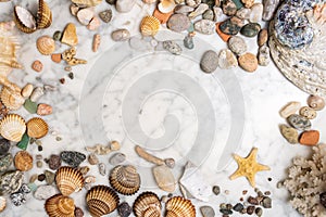 Seashells, starfish and sea pebbles frame, composition of sea stones and seashells, marine composition, composition of seashells,