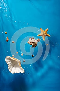 Seashells, starfish and stones in bright blue ocean water