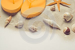 Seashells and starfish on a white background. Copy space for your text