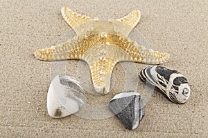 Seashells, stones and starfish sand for relaxation as a background