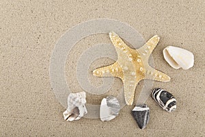 Seashells, stones and starfish sand for relaxation as a background