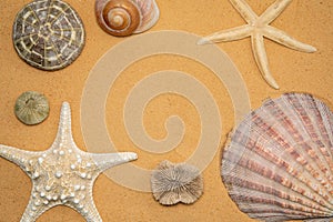 seashells, stones and starfish sand for relaxation as a background
