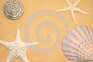 seashells, stones and starfish sand for relaxation as a background