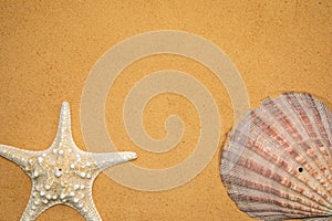 seashells, stones and starfish sand for relaxation as a background