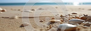 seashells strewn across the sandy expanse of a pristine beach