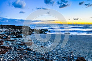 Seashells Strewn on the Predawn Beach