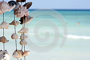 Seashells on a string