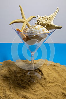 Seashells on a summer beach and sand as background. Sea shells