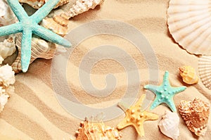 Seashells on a summer beach and sand as background. Sea shells.