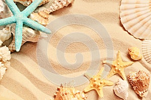 Seashells on a summer beach and sand as background. Sea shells.