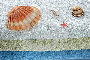 Seashells and towels