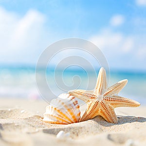 Seashells on a tropical seashore