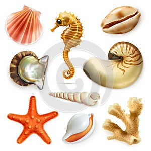 Seashells, vector icon set